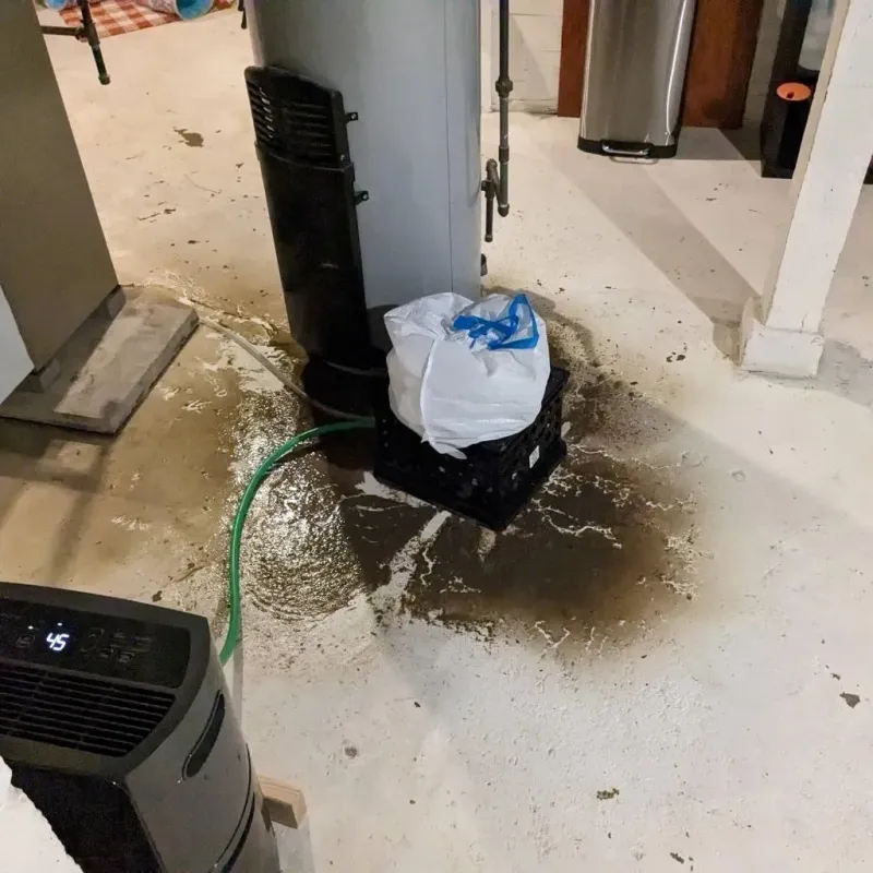 Sewage Backup Cleanup Service in Ruleville, MS
